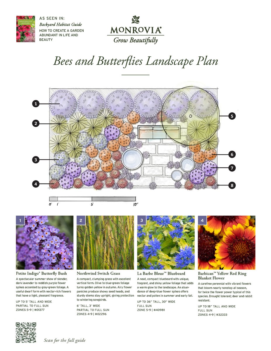 07001-2410_Plan_BHG-BeeButterflyLandscape-102024_Page_1-2