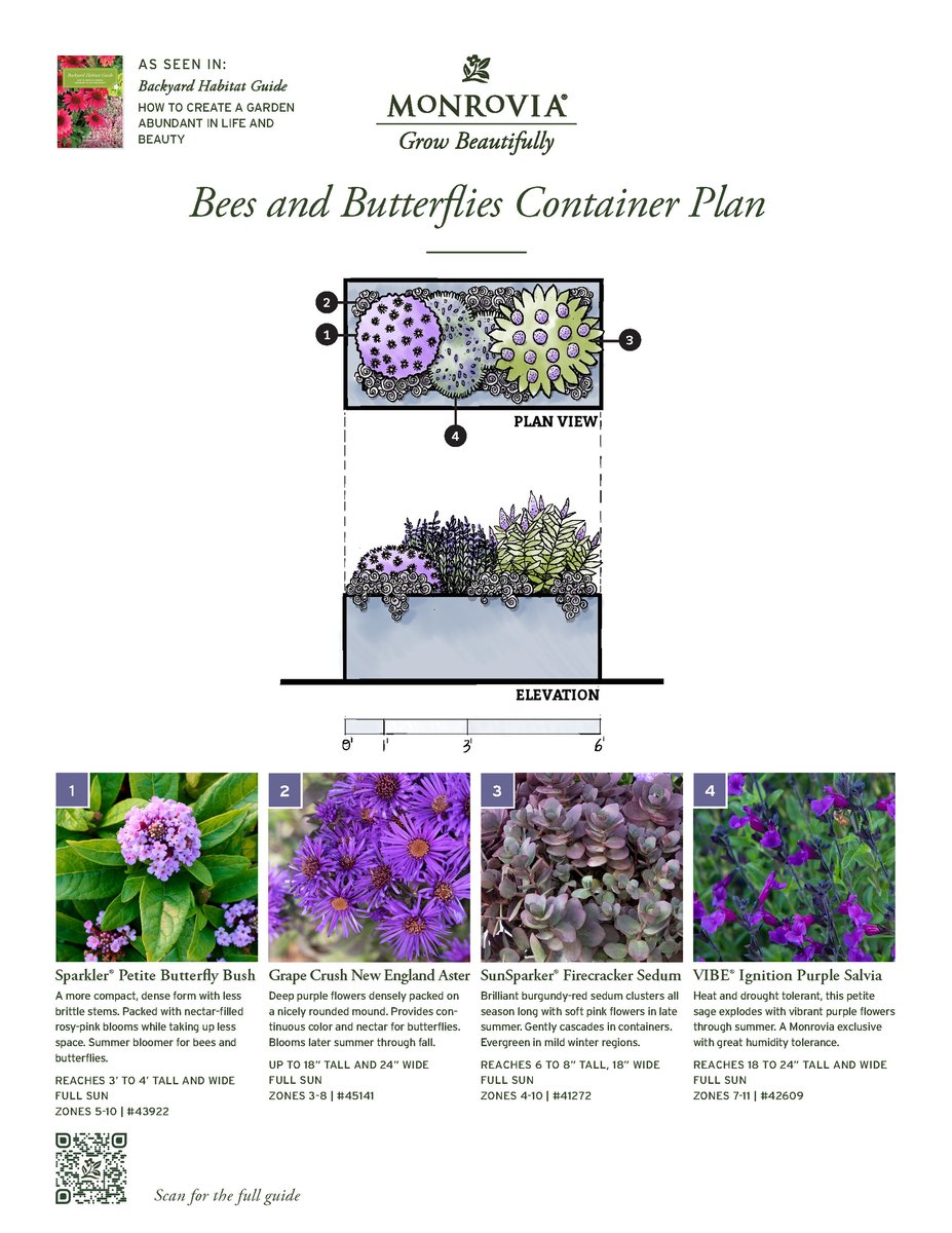 07002-2410_Plan_BHG-BeeButterflyContainer-2024-10