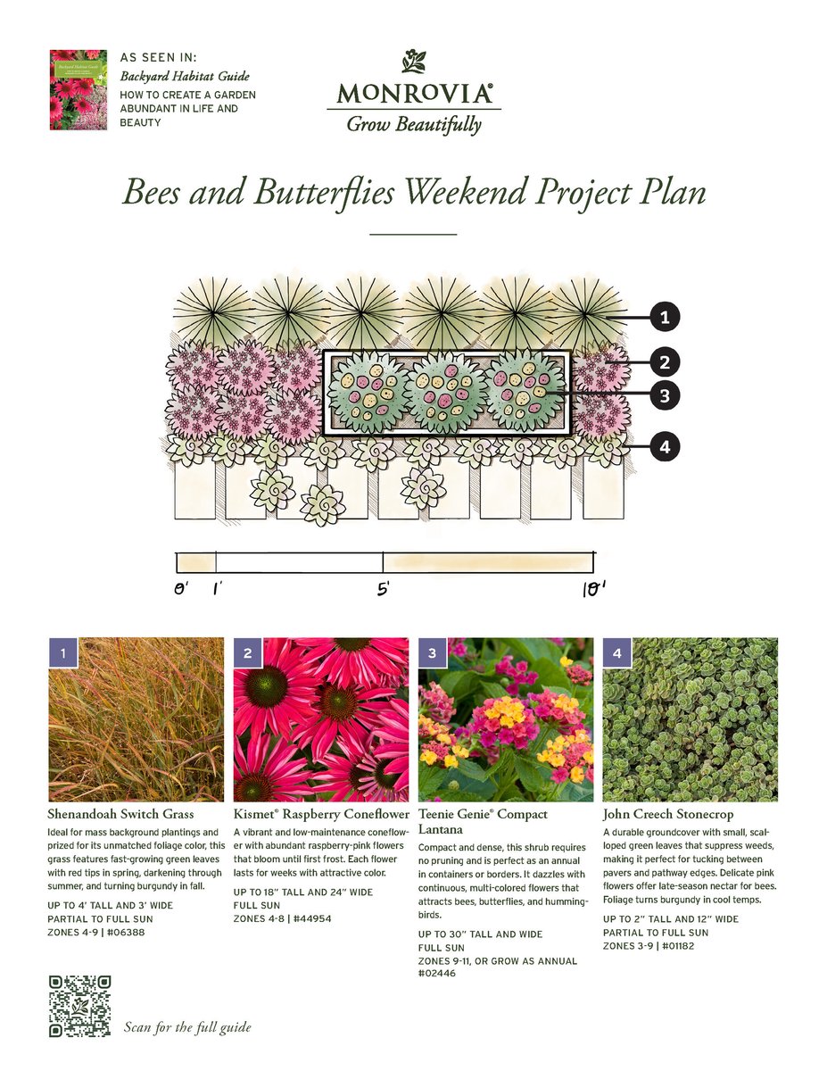 07003-2410_Plan_BHG-BeeButterflyWeekend-102024