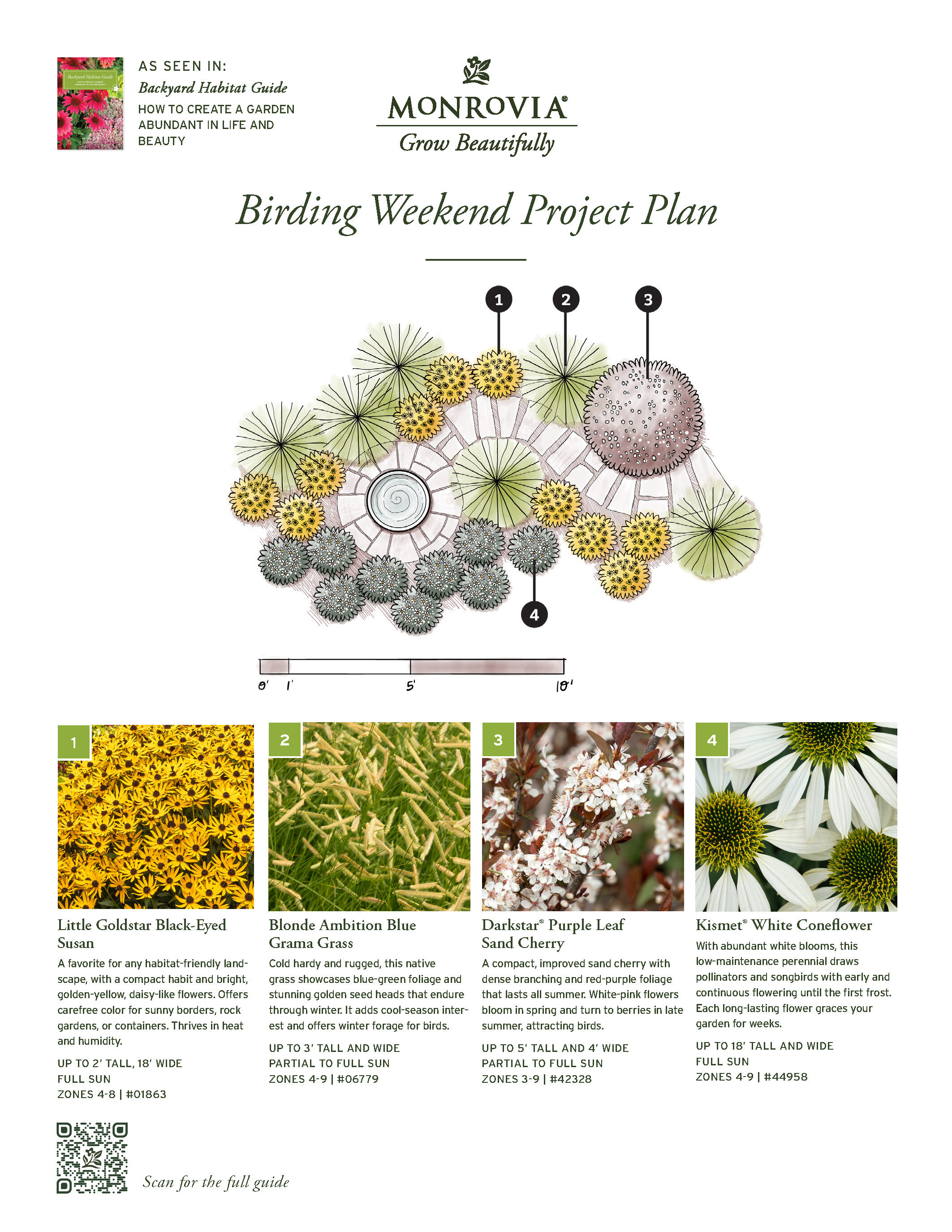 07006-2410_Plan_BHG-BirdingWeekend-102024-1