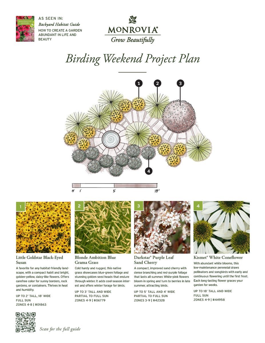 07006-2410_Plan_BHG-BirdingWeekend-102024