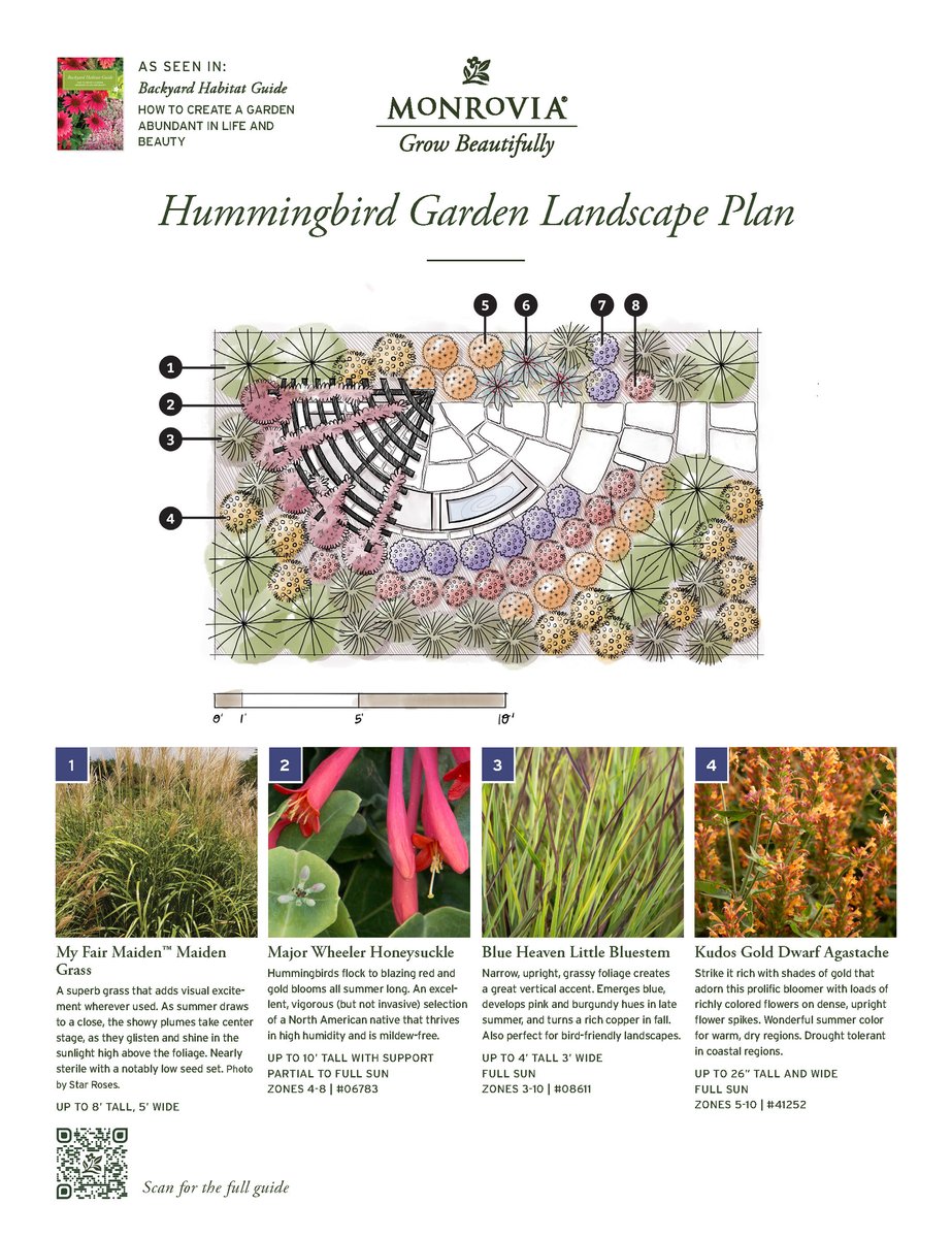 07007-2410_Plan_BHG-HummingbirdLandscape-102024_Page_1