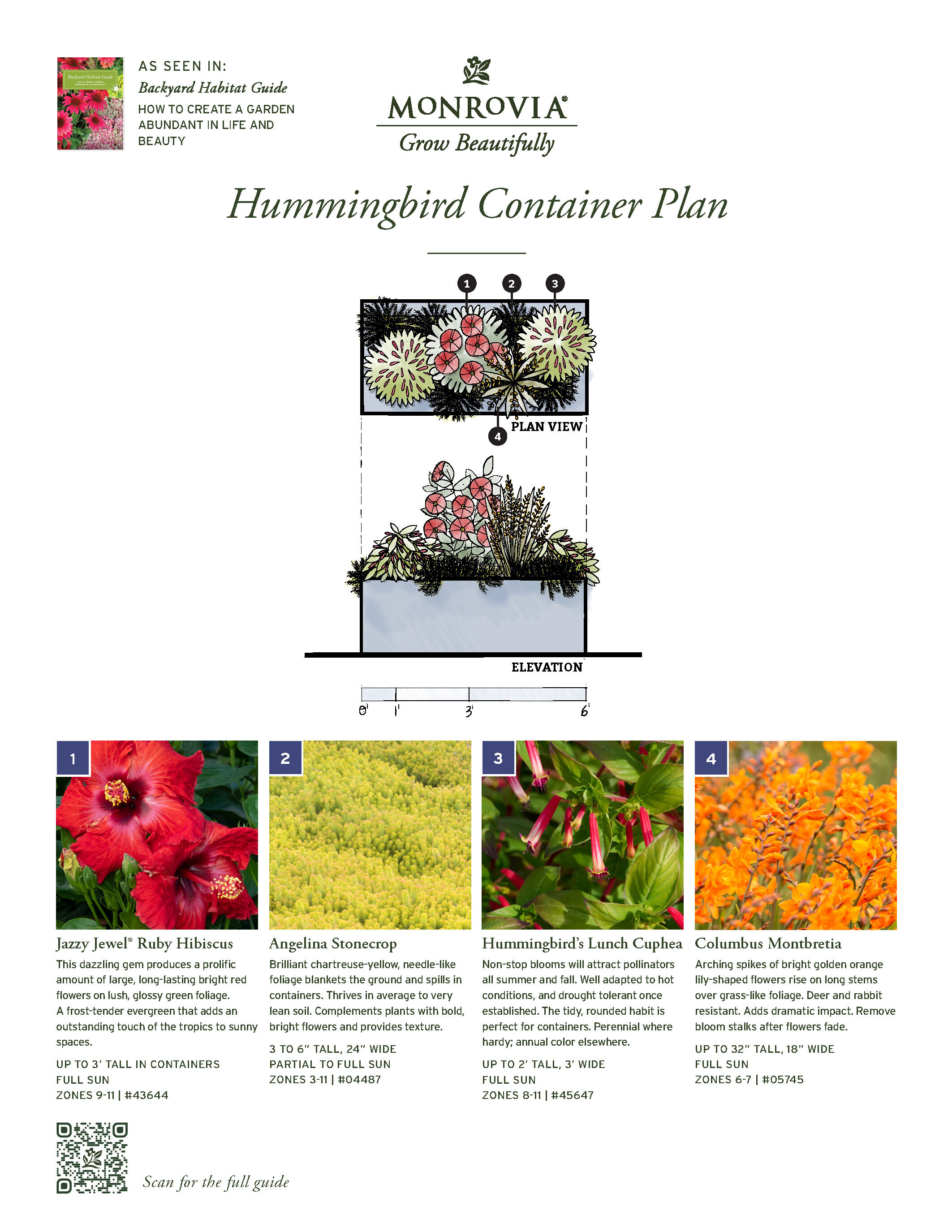 07009-2410_Plan_BHG-HummingbirdContainer-102024
