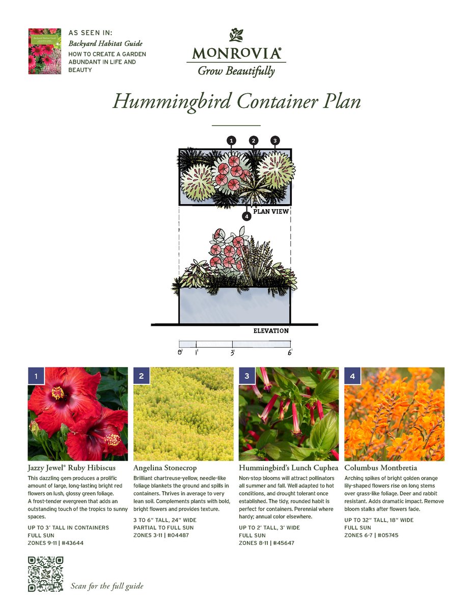07009-2410_Plan_BHG-HummingbirdContainer-102024
