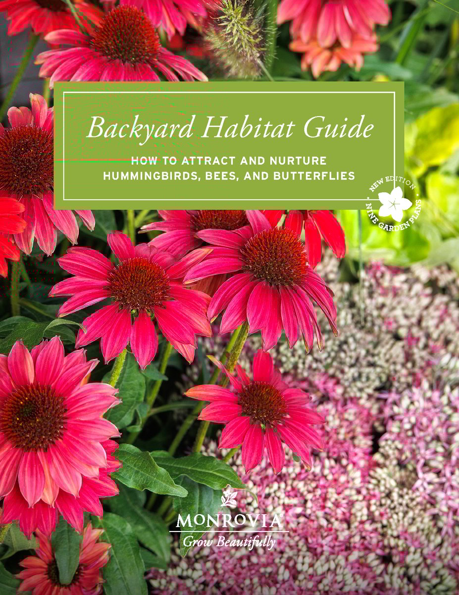 BackyardHabitatGuide-062024-FINAL_Page_01-1
