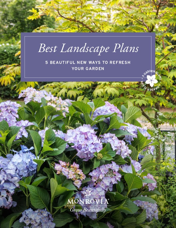 LandscapeProjectGuide2025_cover