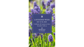 Lavender Week IGst