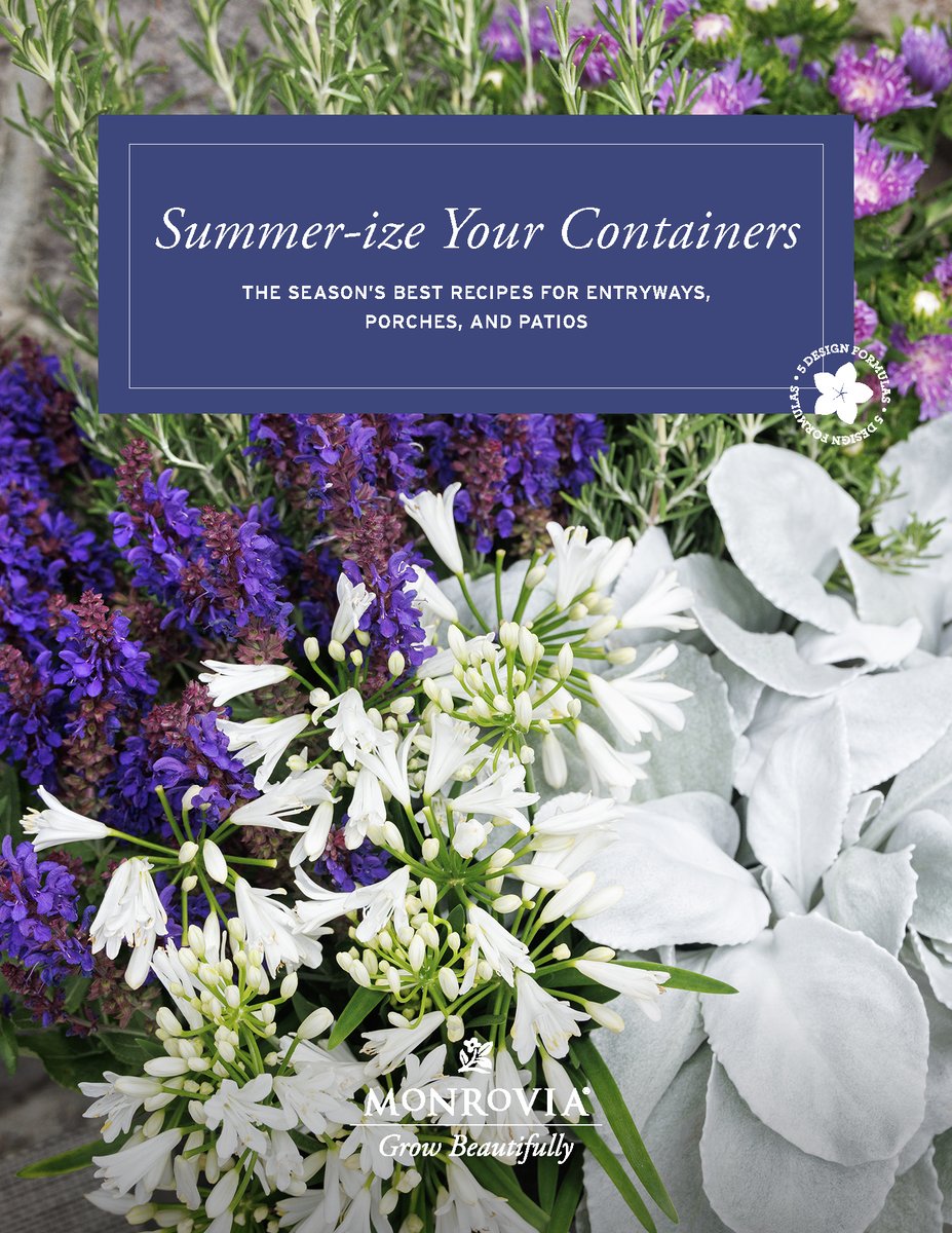Monrovia_SummarizeYourContainers2024-Final3_Page_01-1