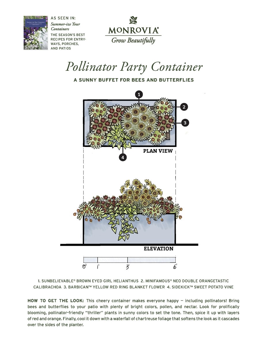 Plan_SummerizeYourContainers_2024-5_Pollinator-Party-PRINT_Page_1