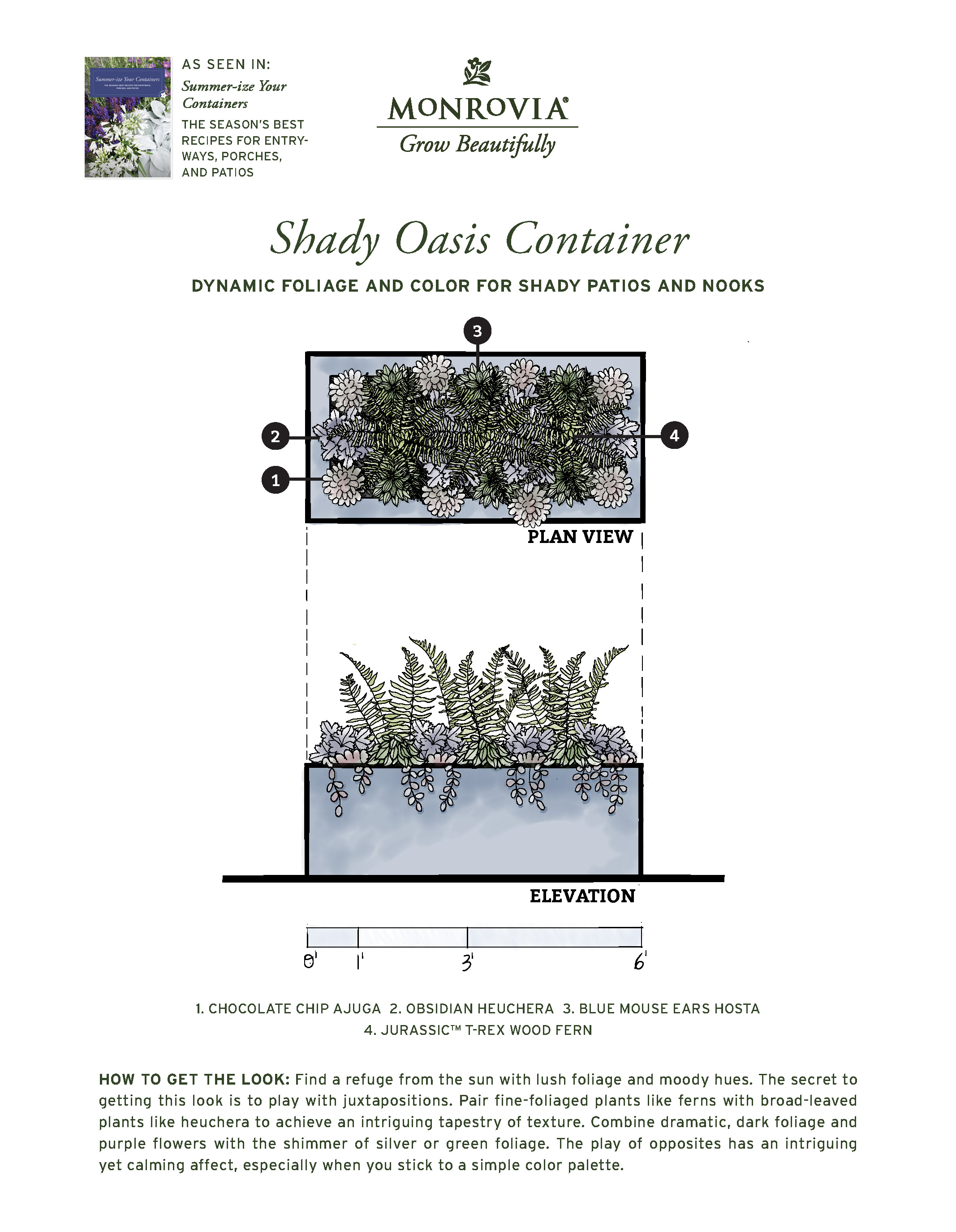 Plan_SummerizeYourContainers_2024-5_ShadyOasis-PRINT_Page_1