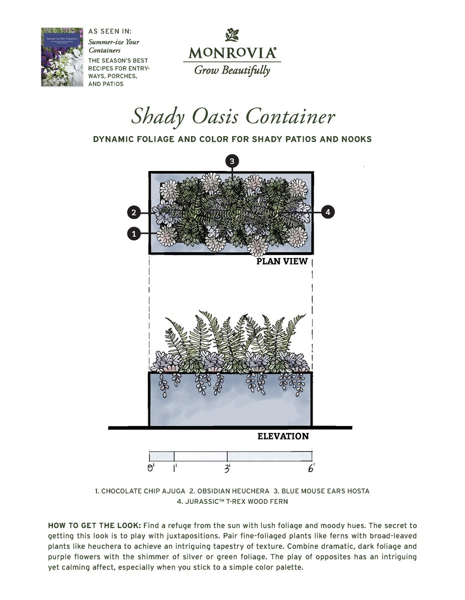 Plan_SummerizeYourContainers_2024-5_ShadyOasis-PRINT_Page_1