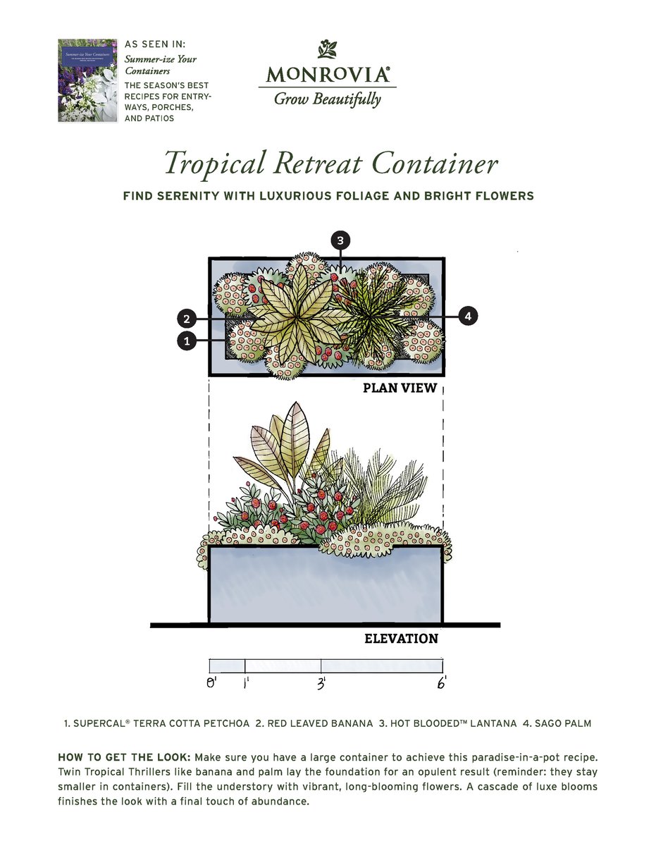 Plan_SummerizeYourContainers_2024-5_Tropical-Retreat-PRINT_Page_1