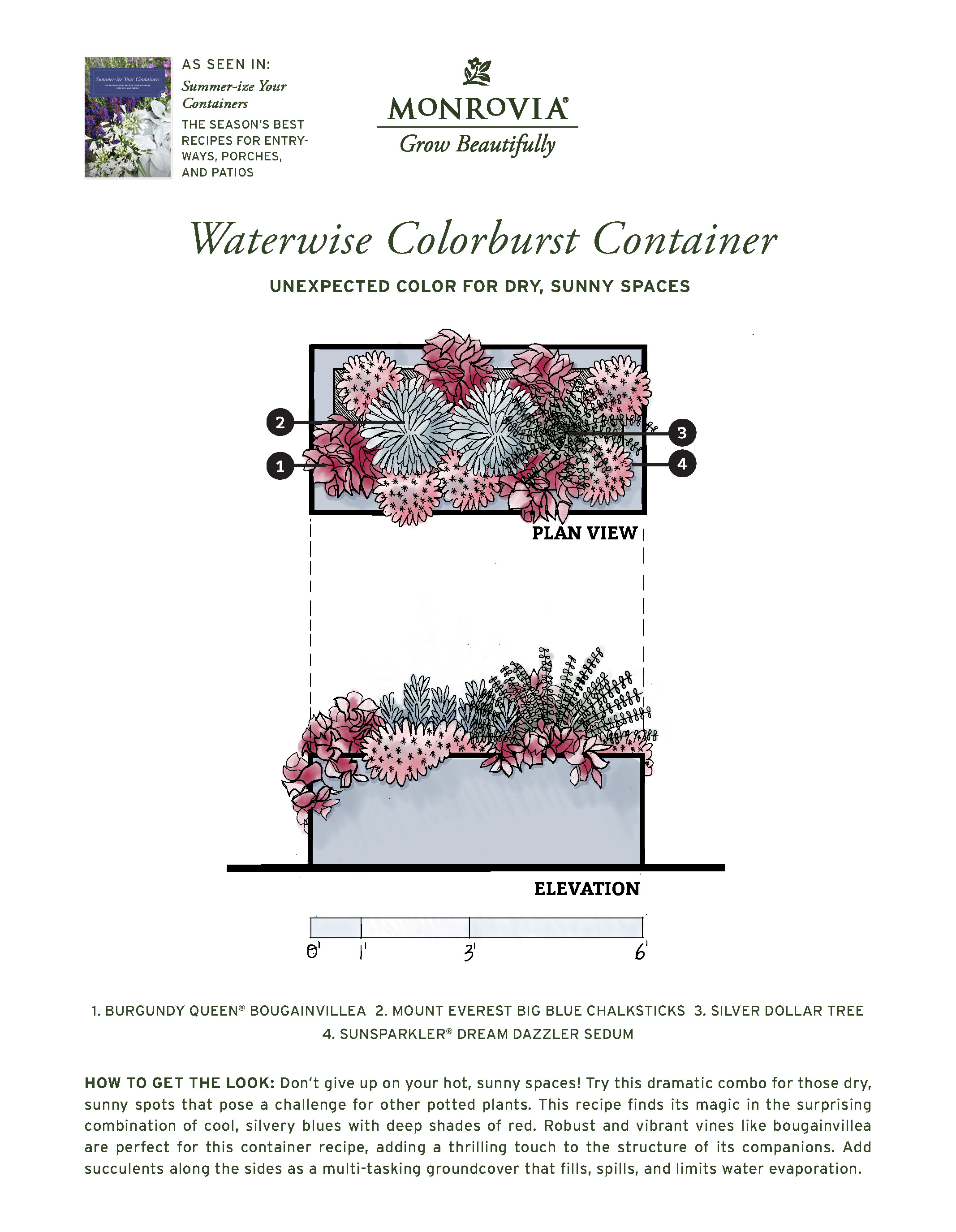 Plan_SummerizeYourContainers_2024-5_Waterwise-PRINT_Page_1