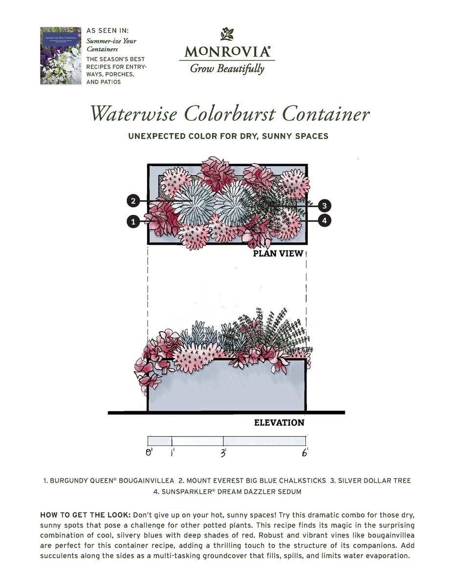 Plan_SummerizeYourContainers_2024-5_Waterwise-PRINT_Page_1