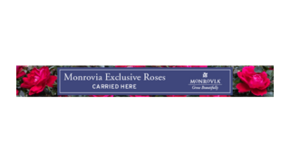 Roses banner