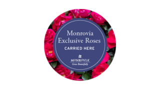 Roses button