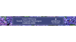 Seaside Serenade Banner
