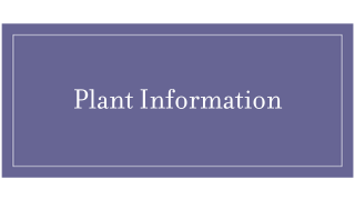 Tile-Plant Info (1)