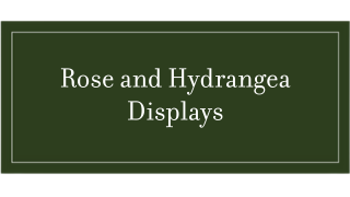 Rose and Hydrangea Display Program