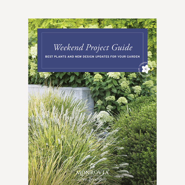 Weekend Project 24 guide 600sq