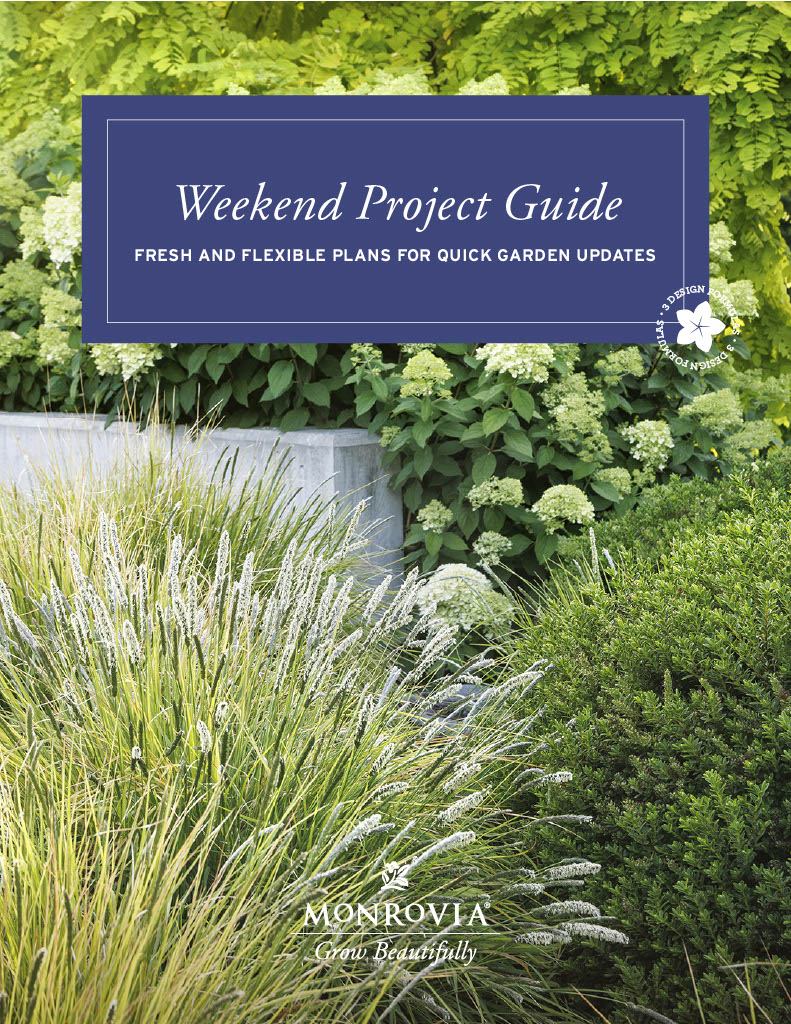 cover weekend project guide