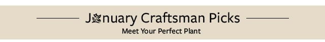 Craftsman Picks