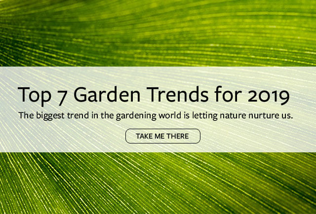 Top 7 Garden Trends for 2019