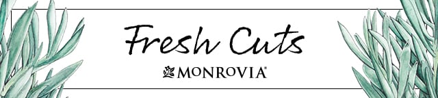 Fresh Cuts: Monrovia's Monthly Newsletter